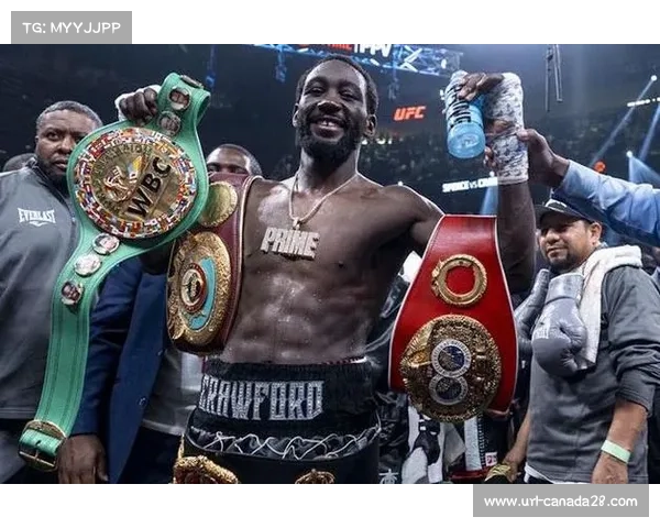 诺曼重拳TKO哈尼，卫冕WBO次中量级腰带阻断对手三级冠军梦